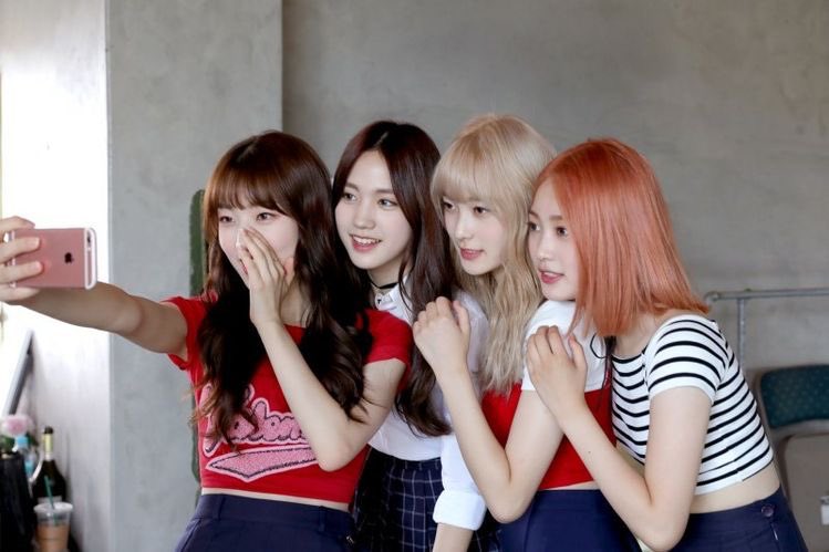 raredreamnote's tweet image. 