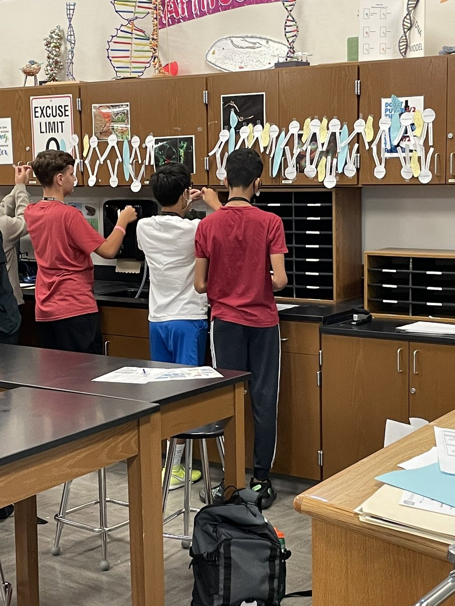 vanitavance's tweet photo. Building cell membranes in Advanced Bio 1! @CSHighSchool @CSISD #purplescience https://t.co/vi3UePxG8L