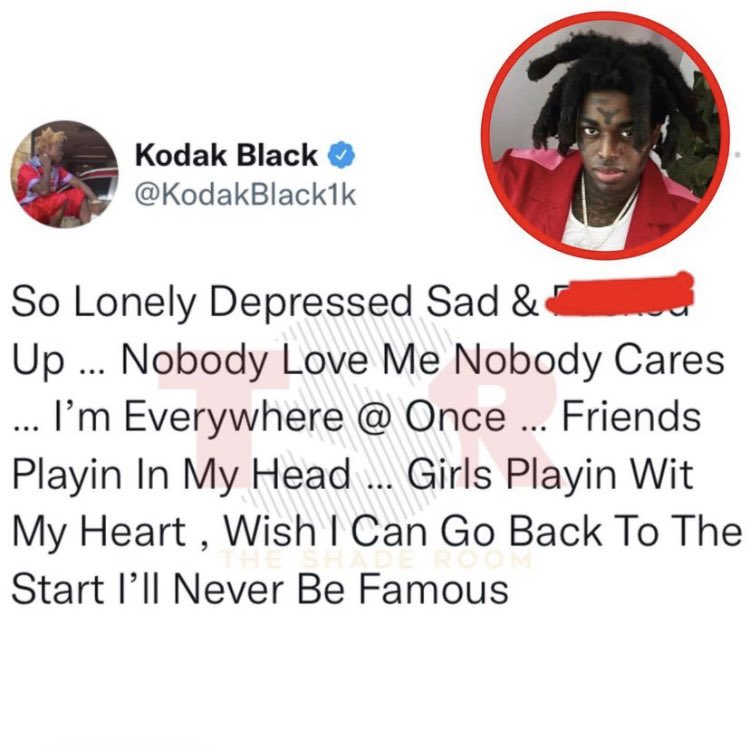 its_a_lizard2Xs's tweet photo. I feel you @KodakBlack1k https://t.co/0srqzOhAeh