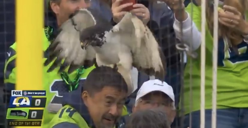 PardonMyTake's tweet photo. ASSAULT. https://t.co/uJEBpwNE9h