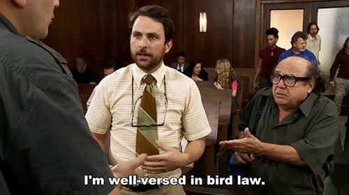 PardonMyTake's tweet photo. ASSAULT. https://t.co/uJEBpwNE9h