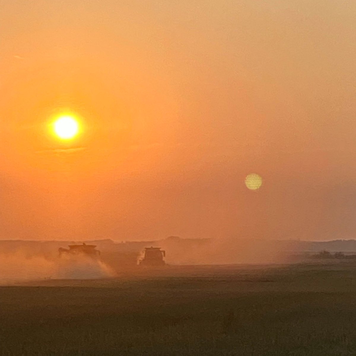 MBMPhotography's tweet image. Five generations of Maxwell’s  have harvested the seven mile corner in Grandview. Thomas, Norman, Grandpa Lloyd, Gary(my Dad) amd my sister Leslie. My mom sent me this pic she took from 366 this evening. ❤️ #home #Farmers #fivegenerations