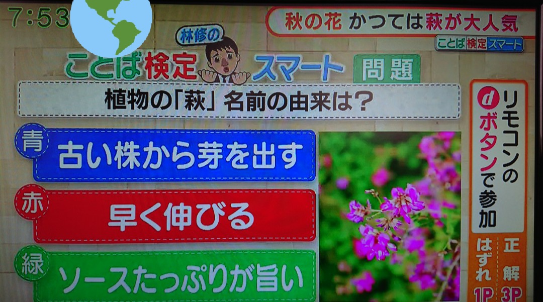 アスペル曽我 アスペルガーz リーダー いつも いいね ありがとうございます Facebook アスペル曽我 も是非ご覧下さい 林先生のことば検定クイズ 正解と解説は 直接 グッドモーニング テレビ朝日 平日朝4時55分 8時 をご覧下さい