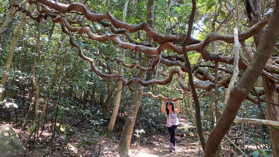 ThelmaSpeirs's tweet image. thingking about being a monkey look like,then I change my mind🤣🤣🤣