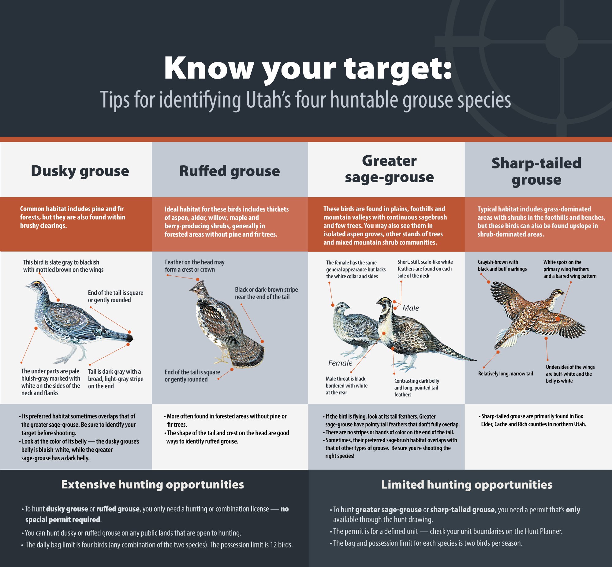 UtahDWR on Twitter "Utah’s grousehunting seasons are underway, and it