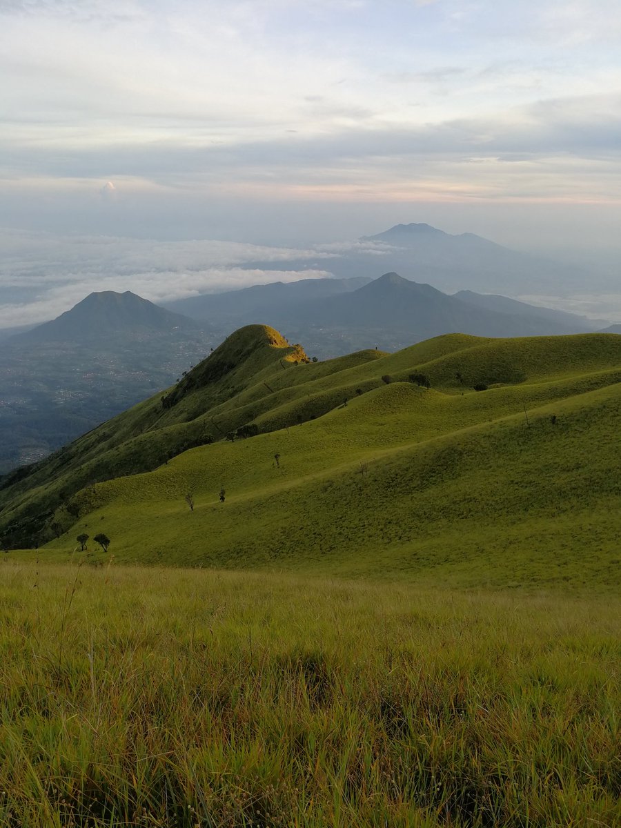 tebinglanghitz's tweet photo. gas suwanting ๐https://t.co/LswKiKSbKv
Info paket private trip,jasa porter , guide dll ๐ wa 081395752113
#merbabu #suwanting https://t.co/tN5YnjdrAw
