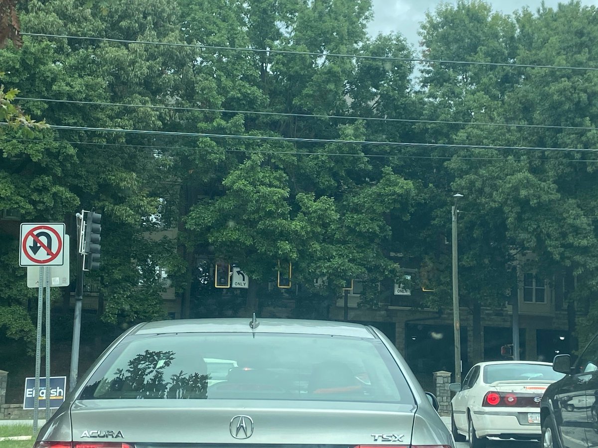 KUX818's tweet photo. @ATL311 The trees have totally overgrown the traffic lights at Freedom Pkway and Ponce de Leon. Mass chaos with cars pulling out into oncoming traffic. Should probably be addressed ASAP. Thanks, and regards https://t.co/bUYrD8wf76