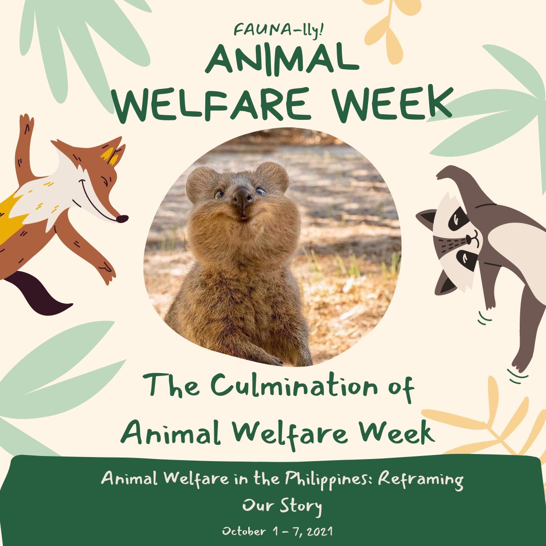 EcoteneoFauna's tweet photo. That’s a Wrap! This is FAUNA-lly the end of Animal Welfare Week that runs through the first week of October.

Follow BAI - Animal Health and Welfare 
Division for more Fauna related content: https://t.co/Y1lu7okxJ0

Pubmat created by: Rochelle Gutang &amp; Abegail Torrejas https://t.co/9gMoE2BNoJ