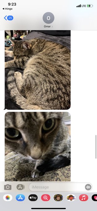 Me: please send me updates of my cat
My lil bro: ok 