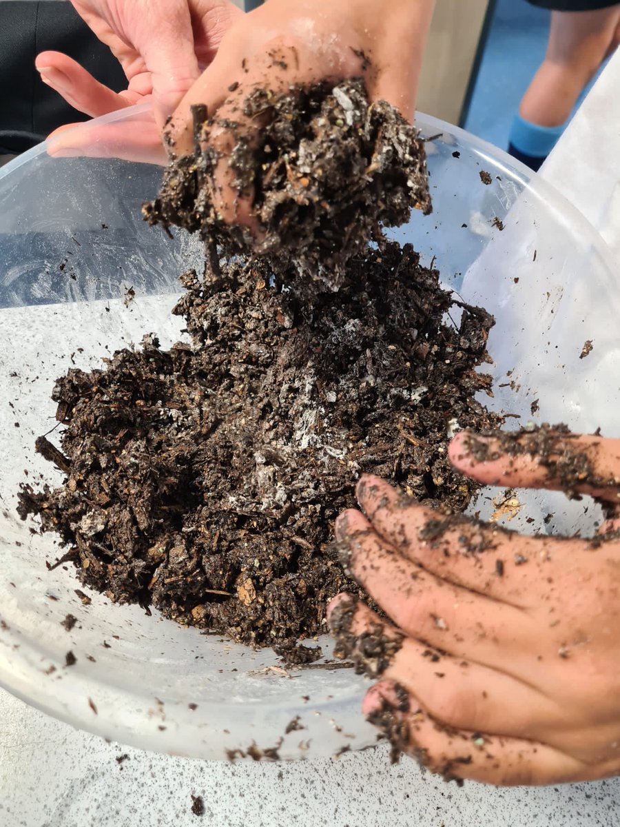 Mrs Helme and students made 220 wildflower bombs today! Let's cover Worcester in flowers #BiologyWeek