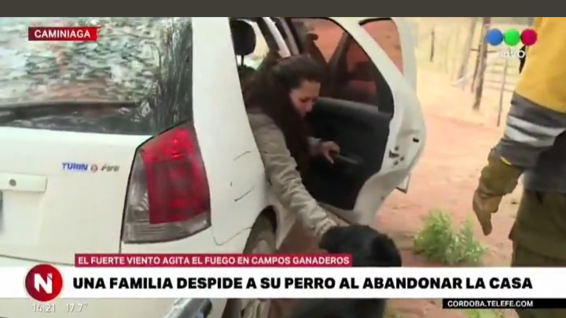 TheRussianVolga's tweet photo. Tu mejor amigo, tu pareja e incluso tu familia puede volverse en tu contra. El único que está en la prosperidad y en la pobreza, en la salud y en la desgracia, es tu perro. Que se me queme la cara y que mis huesos se vuelvan cenizas, yo sin mi perro no voy a ninguna parte https://t.co/351hxisCXh