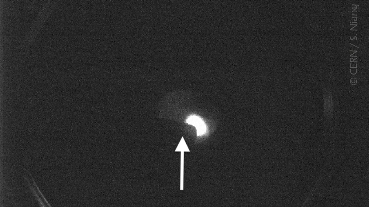 GBAR_Experiment's tweet image. While some colleagues have fun with antiprotons, others struggle with positrons.😩
Bad surprise for @PrNiang this week: a screw got loose and fell in a pumping restriction, blocking the positrons (the bright spot⬇️)!😭
Now solved.👍

Anyone wants to share their #FailOfTheWeek?