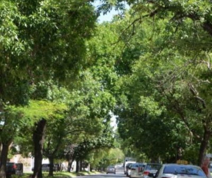 EnriqueViale tweet picture