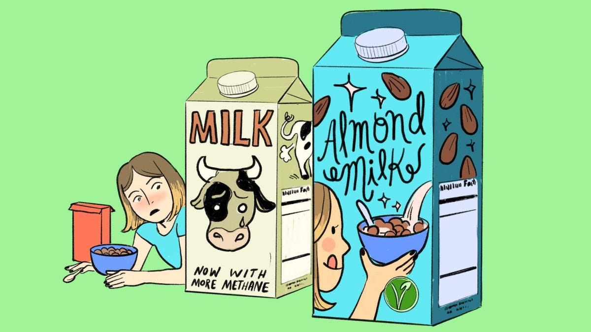 How to Go Vegan Gradually dlvr.it/S96tFt