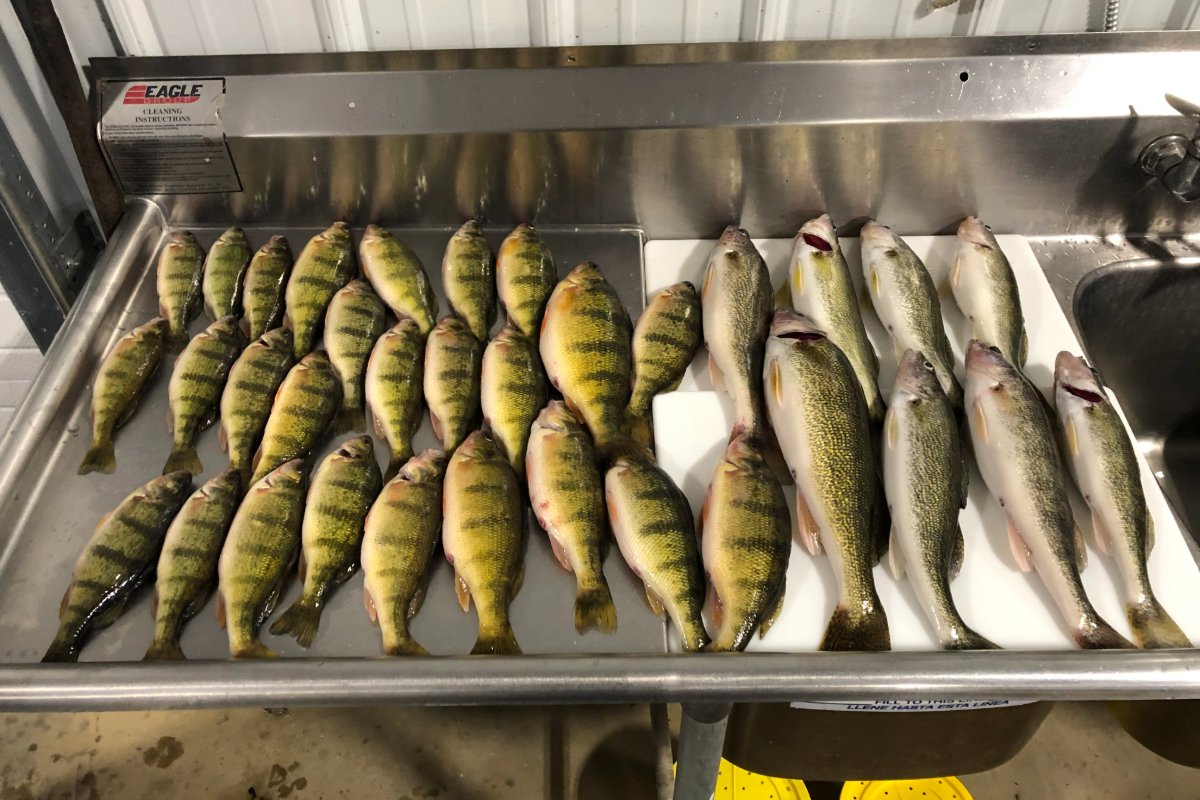 TightLinzSD's tweet photo. Once you make your catch, your dinner plans will be all laid out for you. We can't wait to see that happen. #TightLinzFishing #GuidedFishing #MilbankSD https://t.co/wJ1PQ23tlC
