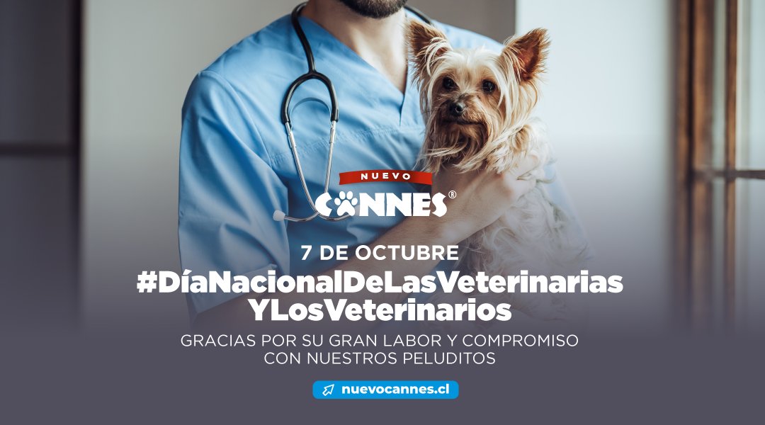 cannes_chile's tweet photo. Hoy en el Día Nacional de las Veterinarias y los Veterinarios, desde el equipo #NuevoCannes queremos agradecer el trabajo que realizan día día dedicando su vida a cuidar y ayudar a tantos perritos. 
¡Muchas felicidades en su día! 👩‍⚕️👨‍⚕️

#PerrosBaCannes
#Veterinarias
#Veterinarios https://t.co/jbJ1I9031k