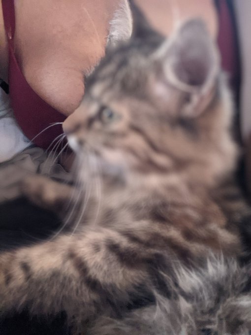 Pepper 🌶️ 💖 https://t.co/PAdhM2PH7F<a href="/tag/newprofilepic"class="tags"><span>#newprofilepic</span></a>