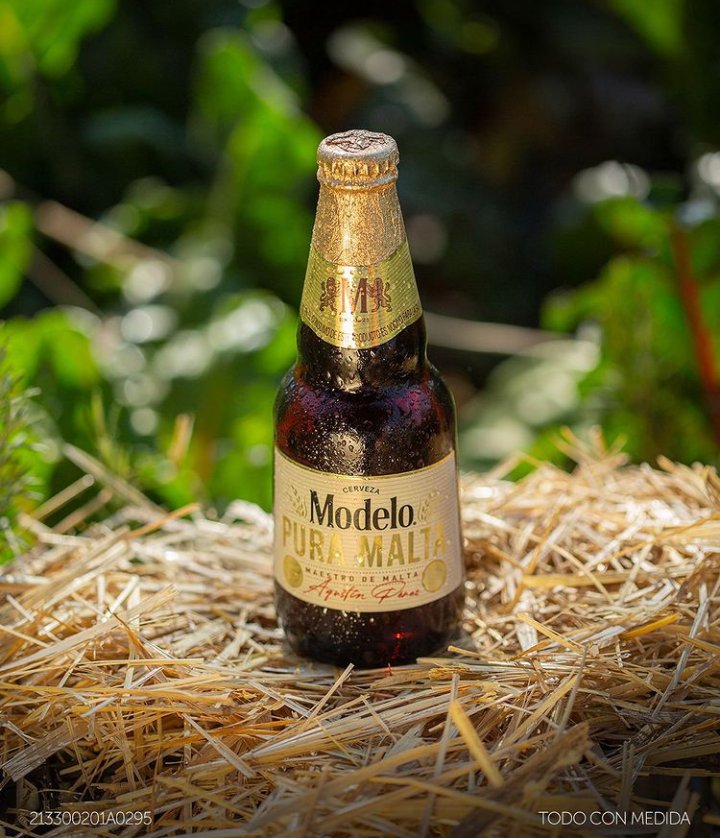 ModePiramide's tweet photo. 🚨 #modelopuramalta 6 X $110.- 2227911127 📲
#SaboresModelo #Malta #cervezamodelo #cerveza #beer #beerstagram #beerlover #quechulaescholula #quechulaespuebla #modeloramapiramide #modeloramapiramidepremium https://t.co/uzpbbHebg5