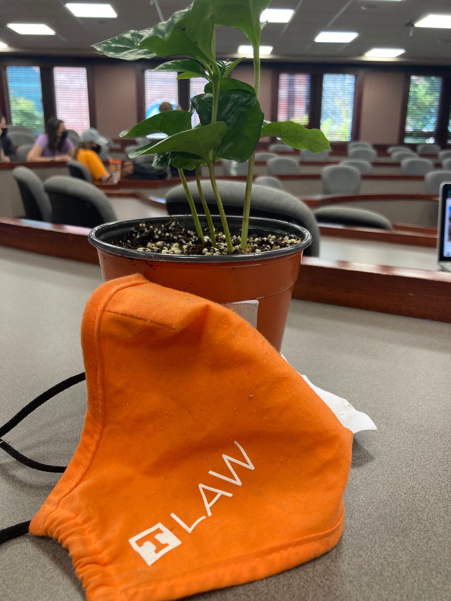 CPRiggs's tweet photo. @UTPlantSciences thanks for the coffee! #utkplantdrop https://t.co/BR4VVTJ7BC
