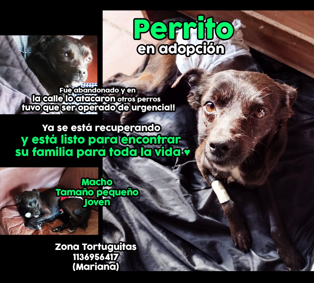 Claudio A. Pereira tweet media