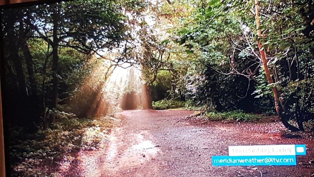 tdpphotography1's tweet photo. My pic on Meridian 6pm News tonight. One Big up for my Moods of Trees Calendar 2022  as this is the July image.  calendars arriving tomorrow 😊 #ITVNews #trees #news @highwoodres @readingdailyuk https://t.co/oztiK0Zmc9