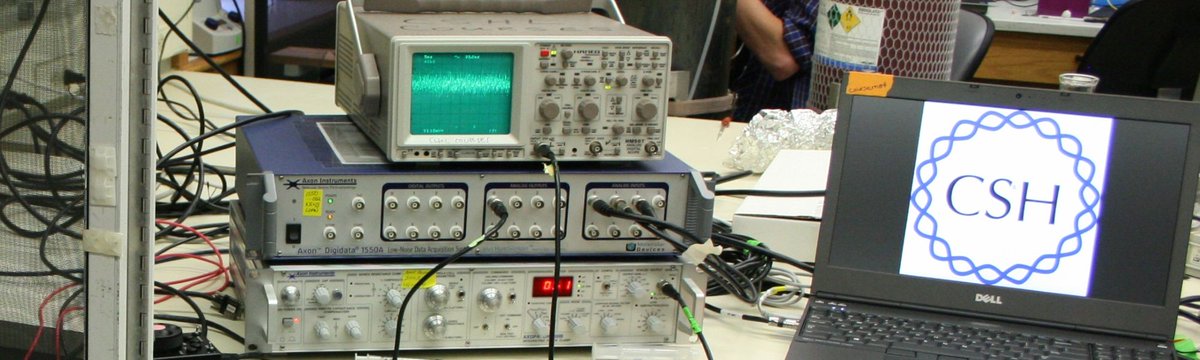 Scientifica_Int's tweet photo. #SciMethods: Controlling and coordinating experiments in #neurophysiology. Read this application note for information on how to run multiple experimental components in parallel. #AppNote #neuroscience #science #labhacks 
https://t.co/DrbuZ00hOe https://t.co/Lu6VE2aRRP