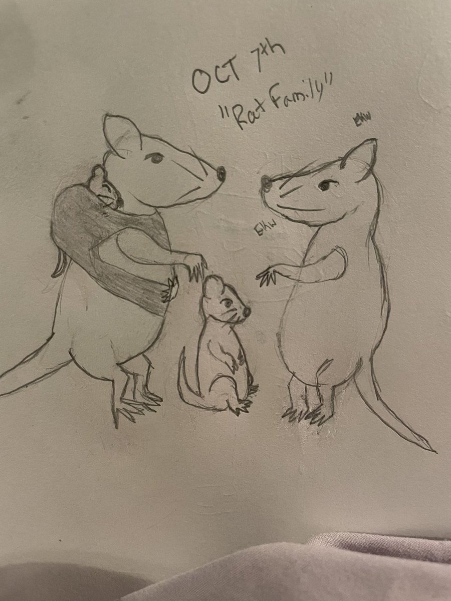 Local__Cryptid's tweet photo. BABY RAT BABY RAT BABY RAT #rattober #rattober2021 https://t.co/RZ7LHXRrmT