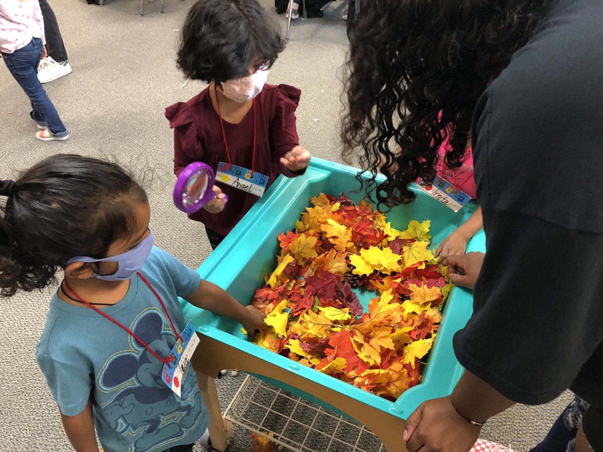 MeteaFACS tweet media