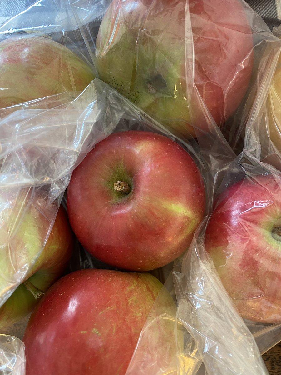 Jdavis_Halton's tweet photo. When you get back from the farm and realize you may have been overly-ambitious with ideas of pie baking and apple sauce. #CleaverOrchards #NorfolkCounty #Snow #Cortland #Ambrosia #HiddenRose ππ https://t.co/ch32GnNaCB