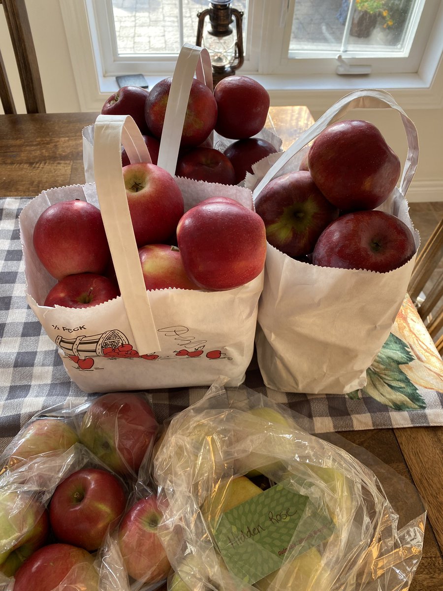 Jdavis_Halton's tweet photo. When you get back from the farm and realize you may have been overly-ambitious with ideas of pie baking and apple sauce. #CleaverOrchards #NorfolkCounty #Snow #Cortland #Ambrosia #HiddenRose ππ https://t.co/ch32GnNaCB