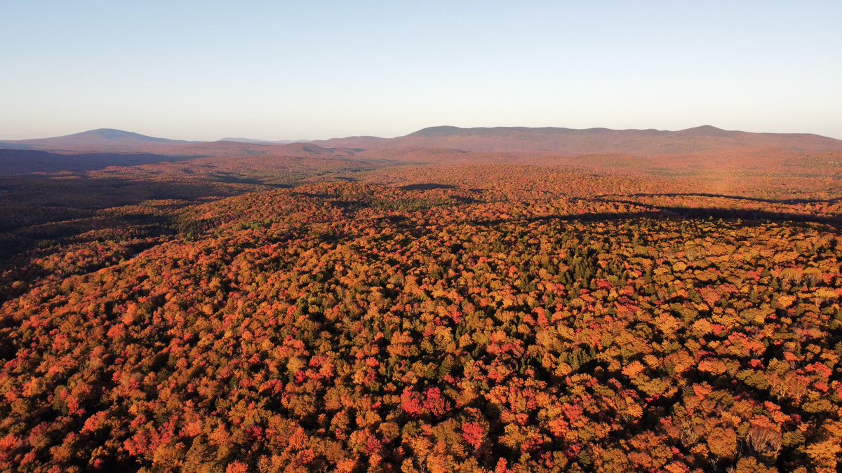 Tornadof123's tweet photo. Vermont foliage is absolutely NUTS right now! #fallfoliage2021 #vermont https://t.co/dxcNqgpM6g