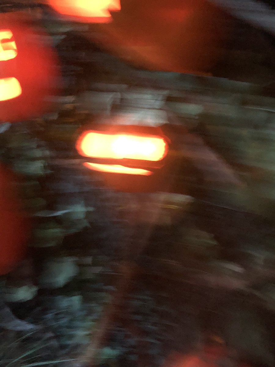 GinghamGhoul's tweet photo. @UniversalORL https://t.co/vscn5lzXYr