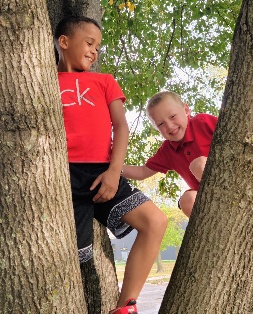 The boys went tree climbing again.