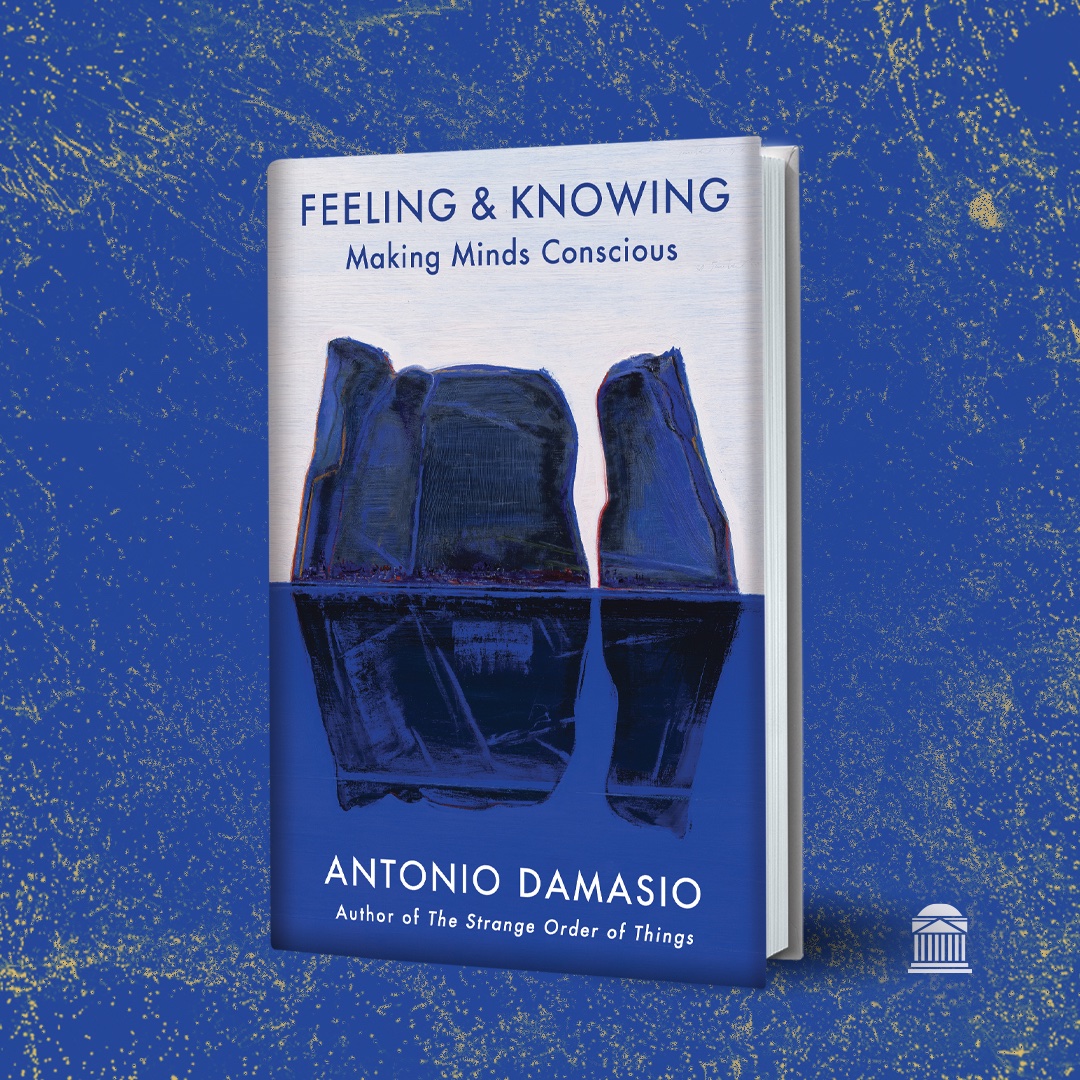 Feeling & Knowing by Antonio Damasio: 9780525563075 |  : Books