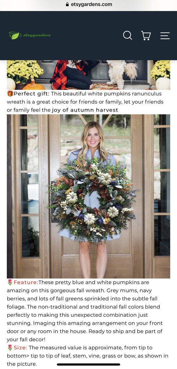 RebekaEG's tweet photo. What I thought I was purchasing…vs what I actually received. Terrible representation of cheaply made wreath with styrofoam “pumpkins”!! Talk about bait &amp; switch! Half the size and NOTHING like the ad pic! You should do better @etsygardens!! https://t.co/lyuiZpuCqL