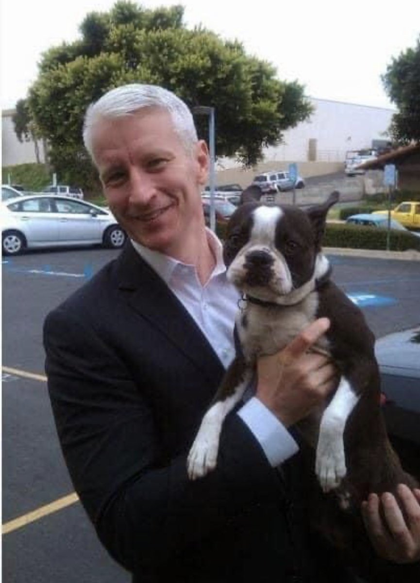 sschmith tweet media