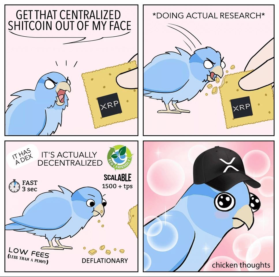 When $XRP critics, misinformed people and #bitcoin maximalists decide to do actual research and find out the truth.