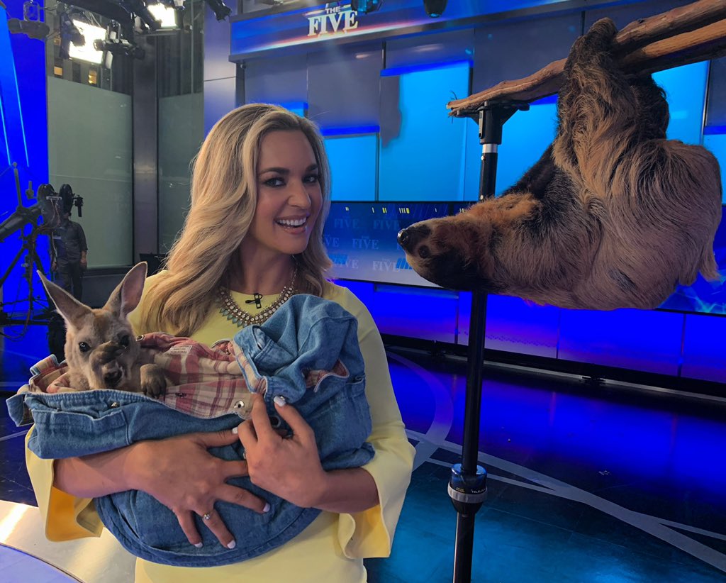 KatiePavlich's tweet photo. Happy 25th anniversary @foxnews! Grateful to our viewers and for many years of wonderful opportunities. Thank you! Onward and cheers 🇺🇸📺🥂 #FoxNews25 

More photos here —-> https://t.co/XtGsVL4l36 https://t.co/GpsWlzW6Ld