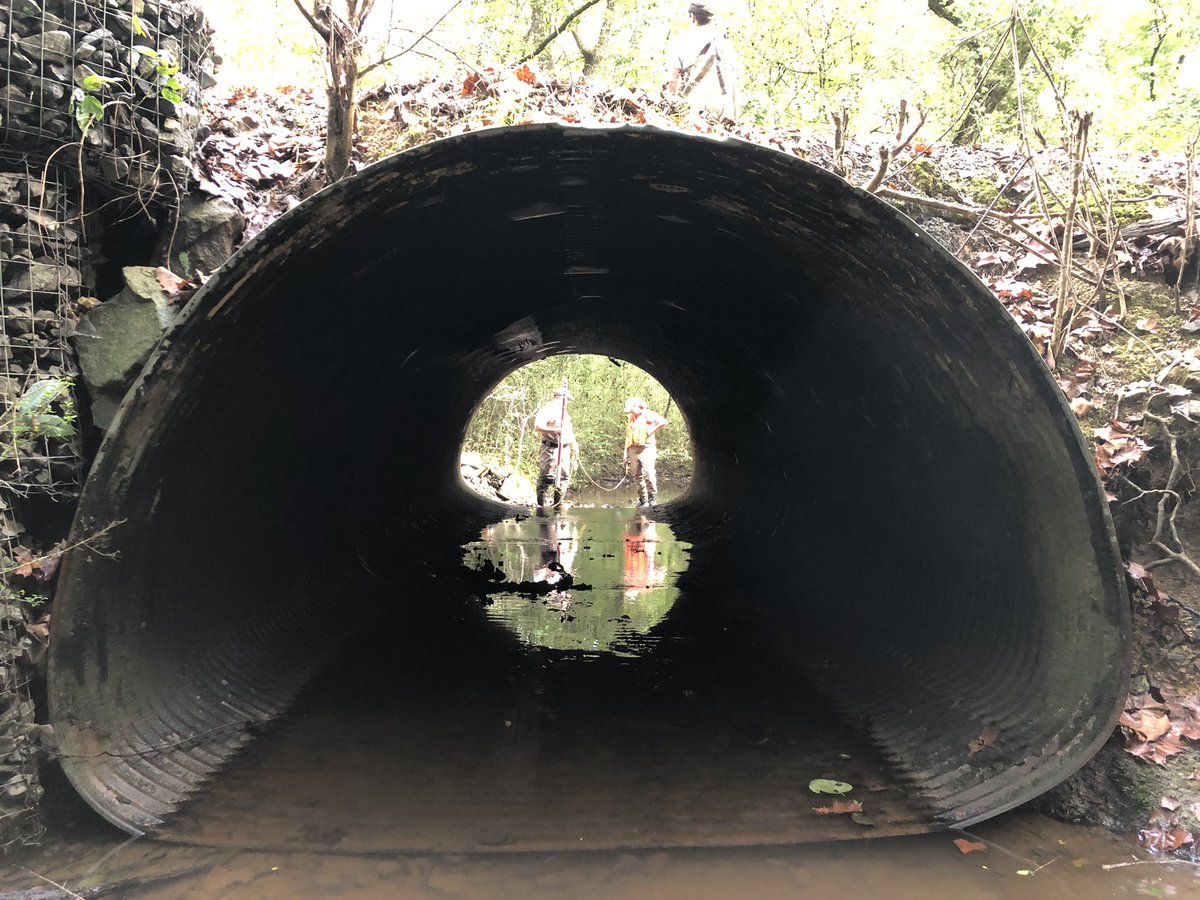 SEaquatics's tweet photo. Nothing like a little fish sampling while you’re at it! #AOP #training #aquatichabitat #fishpassage #conservation #fish #connectivity #aquaticrestoration #biodiversity https://t.co/PUZk7t3Bad