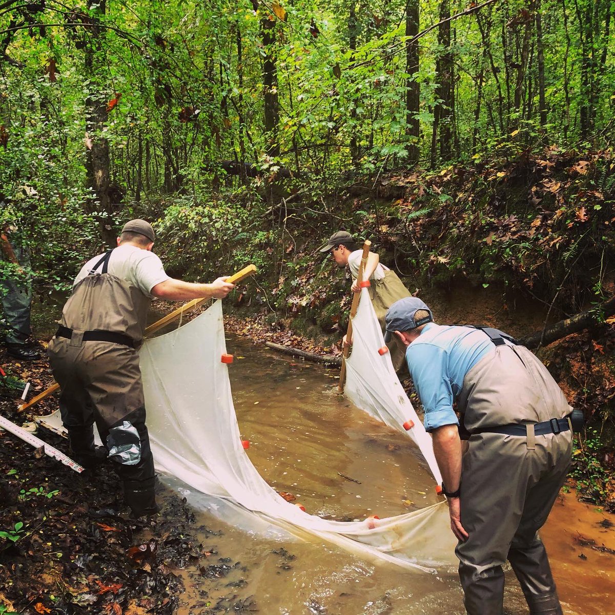 SEaquatics's tweet photo. Nothing like a little fish sampling while you’re at it! #AOP #training #aquatichabitat #fishpassage #conservation #fish #connectivity #aquaticrestoration #biodiversity https://t.co/PUZk7t3Bad