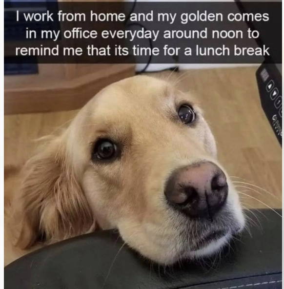 WholesomeMeme's tweet photo. https://t.co/QJDoAmhqEJ