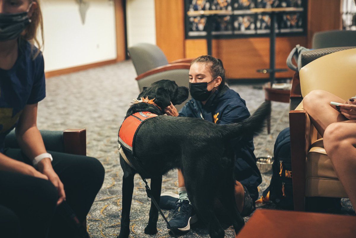 WVUSports's tweet photo. A big shoutout to @HeartsofGoldWV for joining us at the Coliseum today during @Big12Conference Mental Health Awareness Week! 

#Big12BreakstheStigma | #HailWV https://t.co/QR3YcQ0Xg9