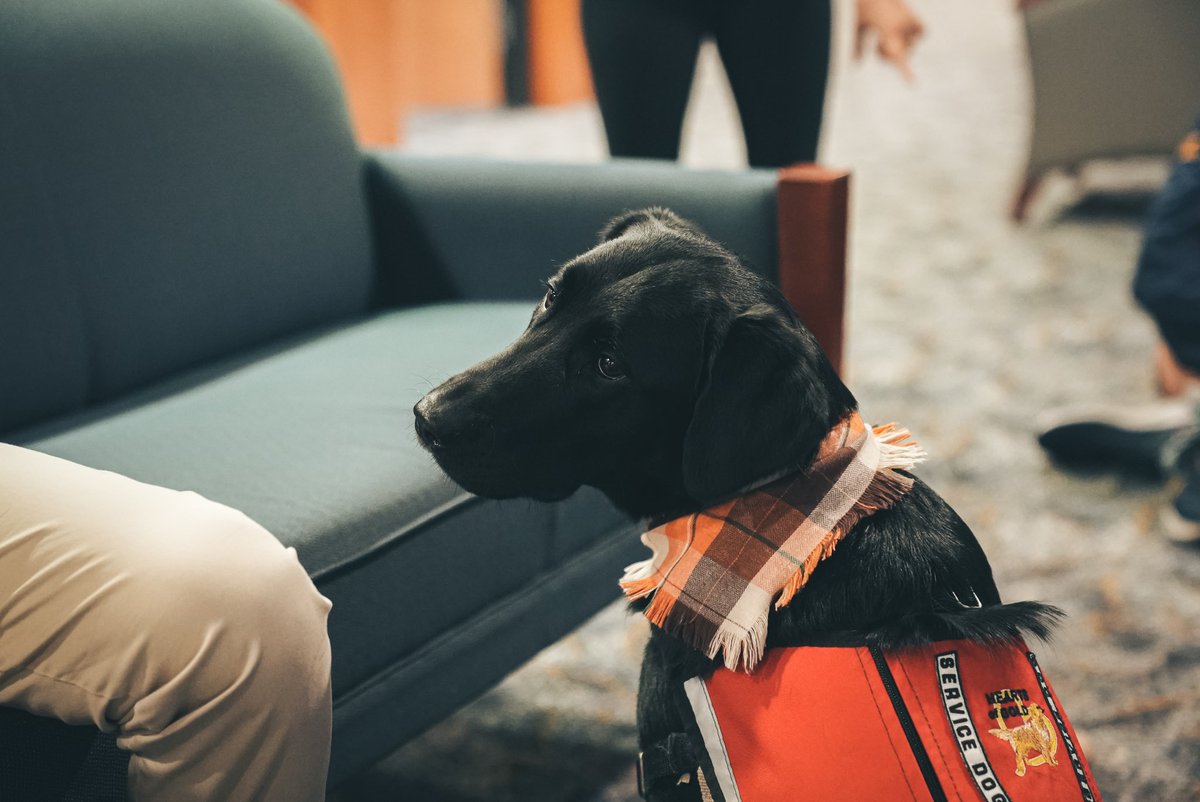 A big shoutout to <a href="/HeartsofGoldWV/">Hearts of Gold WV</a> for joining us at the Coliseum today during <a href="/Big12Conference/">Big 12 Conference</a> Mental Health Awareness Week! 

#Big12BreakstheStigma | #HailWV