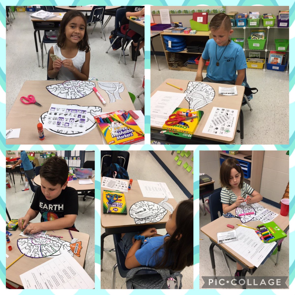 PVES_Patriots (@patriotspves) on Twitter photo Gifted inclusion classes learned all about the parts of the brain and their functions. Thank you Mrs. Heidi Smith for helping our students build knowledge about the brain. <a href="/pascoschools/">Pasco County Schools</a> <a href="/Pasco_Gifted/">Pasco County Gifted</a> <a href="/mwoods34639/">MWoods</a> #ibpride Gifted inclusion classes learned all about the parts of the brain and their functions. Thank you Mrs. Heidi Smith for helping our students build knowledge about the brain. <a href="/pascoschools/">Pasco County Schools</a> <a href="/Pasco_Gifted/">Pasco County Gifted</a> <a href="/mwoods34639/">MWoods</a> #ibpride