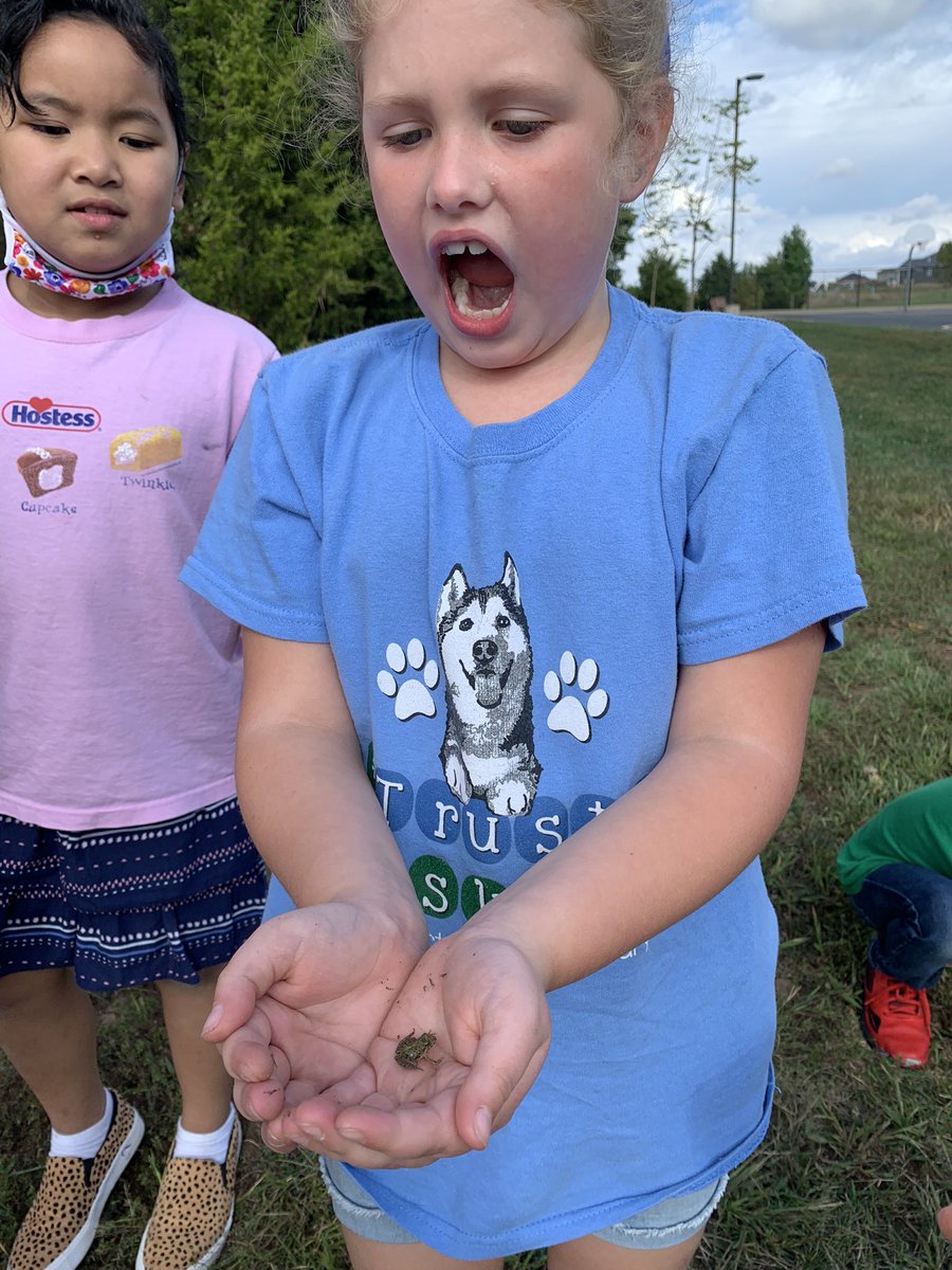 CaldwellRusBlvd's tweet photo. We love finding critters during recess! #CreaturePowers #TrustyHuskies💙🐾💚 #1Team1HartAHL #CPSBest #ScholarsFirst @CPSScience https://t.co/ELN0nr16wq