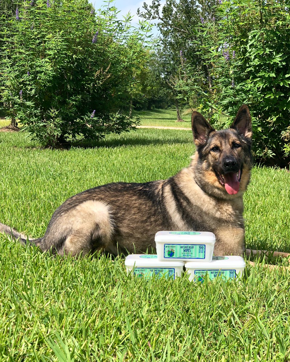Alpha_SAR's tweet photo. Does your pup ever have a problem with hot spots and itchy skin? Watson has you covered! These Hot Spot Relief Wipes from @earthbath_pet are made with tea tree oil and aloe vera to soothe that itchy skin. Thank you to Earthbath for your generous donation! #itchrelief #alphacon21 https://t.co/o5Y6gNuvIC