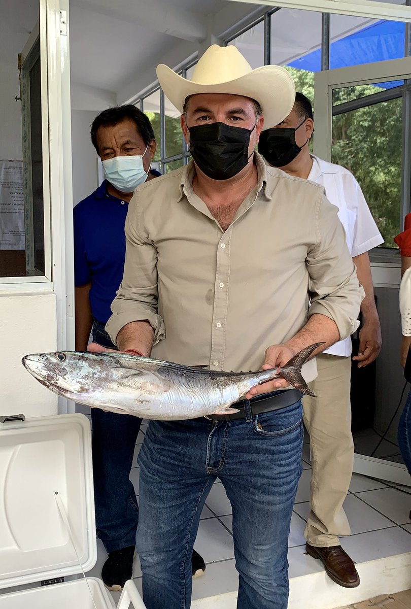 SEFADER_GobOax's tweet photo. En San Pedro Pochutla, el Srio. @gabriel_cue en coordinación con @SENASICAOax y el #COSIA, entregó el 1er Certificado Oficial por cumplimiento de Buenas Prácticas de Manejo a Bordo en embarcaciones menores a Francisco Galguera, Presidente de la S.C.P.P “Punta Sacrificio”. https://t.co/6U9D60Uhst