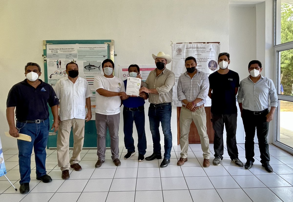 SEFADER_GobOax's tweet photo. En San Pedro Pochutla, el Srio. @gabriel_cue en coordinación con @SENASICAOax y el #COSIA, entregó el 1er Certificado Oficial por cumplimiento de Buenas Prácticas de Manejo a Bordo en embarcaciones menores a Francisco Galguera, Presidente de la S.C.P.P “Punta Sacrificio”. https://t.co/6U9D60Uhst