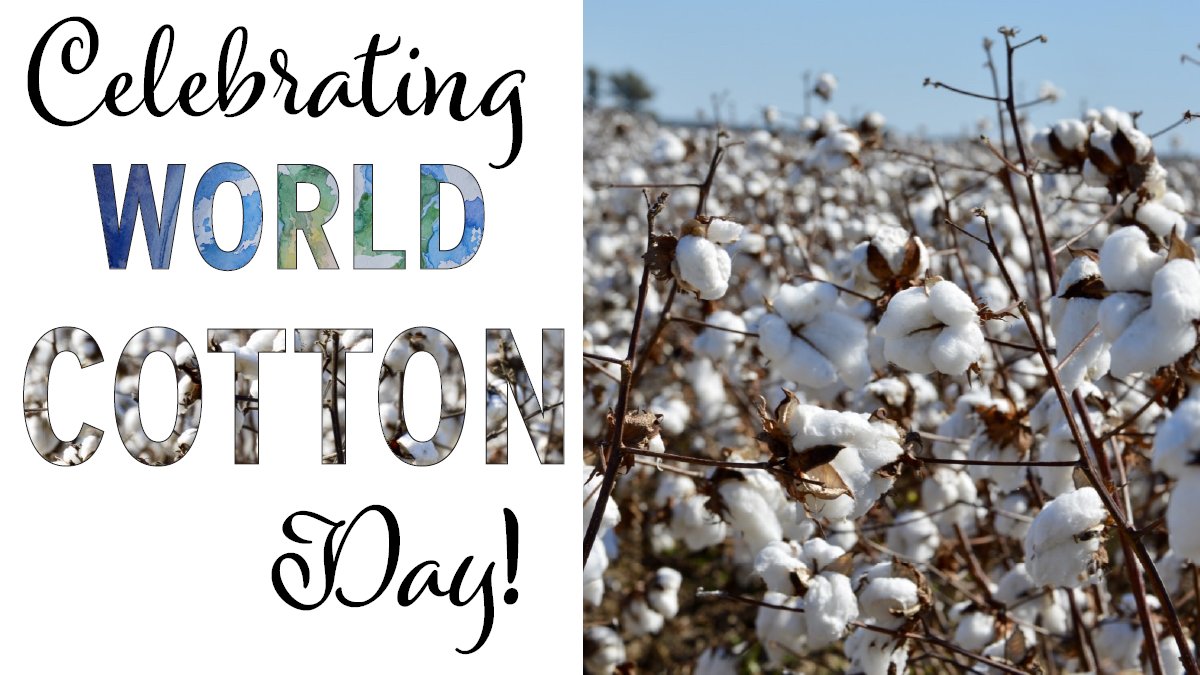 Happy #WorldCottonDay! 🎉🚜
#Cotton #Sustainable