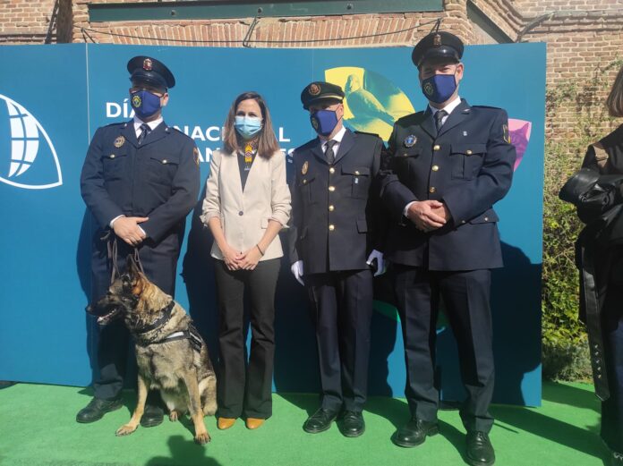 👉La Red de Protección Animal premia a un agente de la Policía Local de la Vila por salvar la vida a su compañera canina comarcalcv.com/la-red-de-prot…